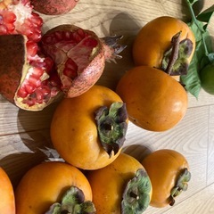 栗　秋セットの画像