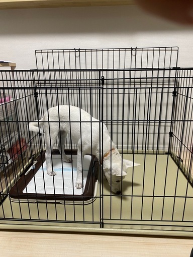 【格安】大型のペットケージ（パーツ完備）