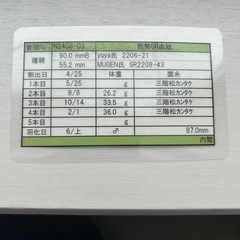 能勢産SRオオクワガタ　87mmオス単品の画像