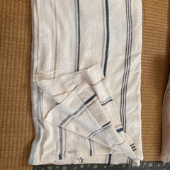 (使用感あり)座布団とタオルケットの画像