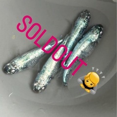 受け渡し者決定🙇‍♂️【メダカ】ジモティー限定価格！上物！レックウザ2ペアの画像