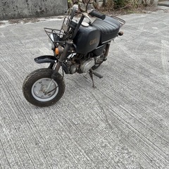 最終値下　ホンダ　ゴリラ　Z50J 6Vの画像