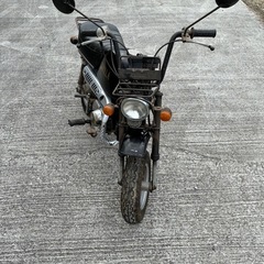 最終値下　ホンダ　ゴリラ　Z50J 6Vの画像