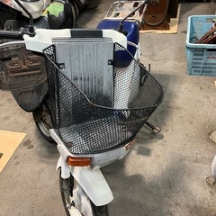 😺　不動　モレ　FA14B SUZUKIの画像