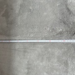 カーペット、マット、ラグ
の画像