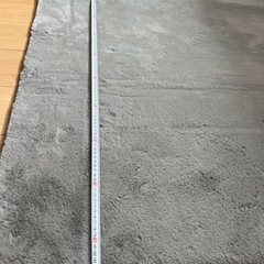 カーペット、マット、ラグ
の画像