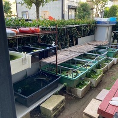 エアーポンプの画像