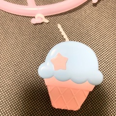 SWIMMER 洗濯ピンチの画像