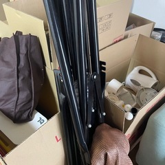 ハンモックの画像