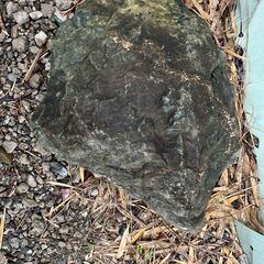 天然石や漬物石差し上げますの画像