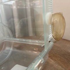 ハムスター用ケージの画像