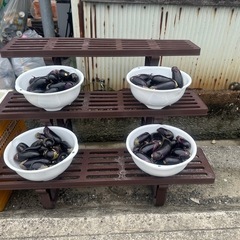 10時より開始します🥰👩‍🌾訳あり✨なす🍆フードロス🍆の画像