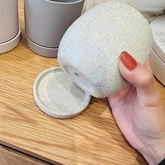 観葉植物の鉢　の画像