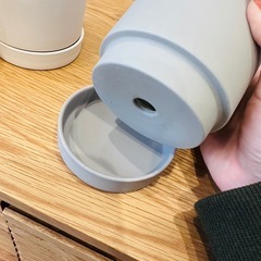 観葉植物の鉢　の画像