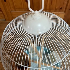 中古使用品　鳥かご　の画像