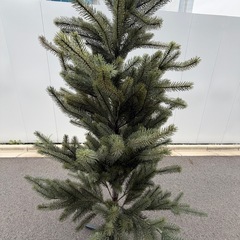 大型　クリスマスツリー　 サイズ　約180×90cmの画像