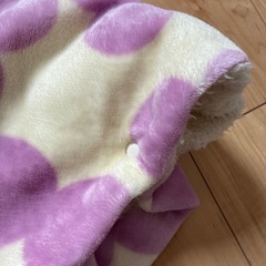 くまちゃんぽんちょポンチョの画像