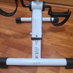 アルインコ サイクルンの画像