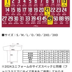 ファジアーノ岡山　2025 ユニフォームの画像