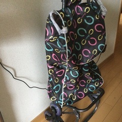 買物用キャリーバッグの画像