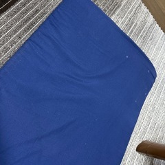 トゥルースリーパーミニの画像