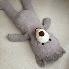 くまのぬいぐるみの画像
