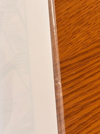 ONEPIECE複製原画 
