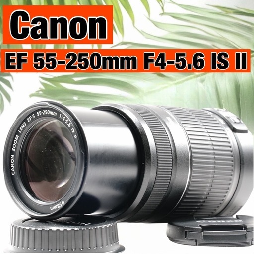 美品✨Canon EF 55-250mm F4-5.6 IS II ズームレンズ