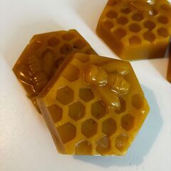 日本蜜蜂のミツロウの画像