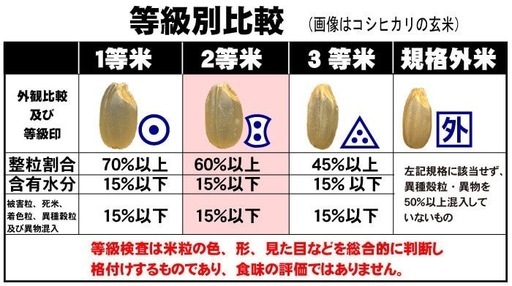 【残り1袋】新米 ひとめぼれ 一等米 玄米30kg