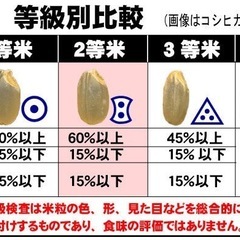 登米市産 新米 ひとめぼれ 一等米 玄米30kgの画像