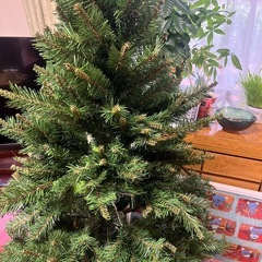 クリスマスツリーの画像