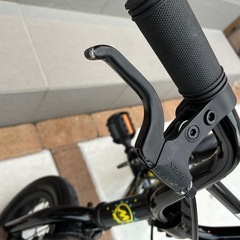12インチ　BMX PAL　の画像