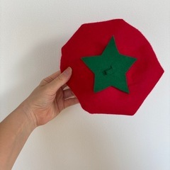 ⭐︎0円⭐︎ハーフバースデー衣装⭐︎ハンドメイド購入品の画像