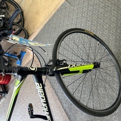 cannondaleの画像