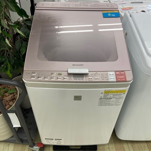 SHARP 8.0kg全自動洗濯機【リサイクルフカツ岡崎倉庫店】251025SM-18