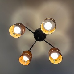照明本体 LED電球可能 シーリング ライト 電気の画像