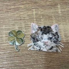 ワッペン セットの画像