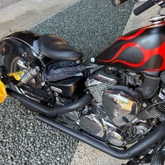 ドラッグスター  
250の画像