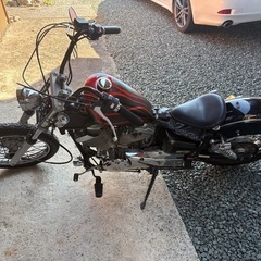ドラッグスター  
250の画像