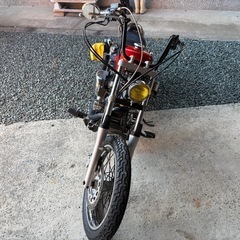 ドラッグスター  
250の画像