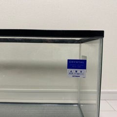 60センチ水槽の画像