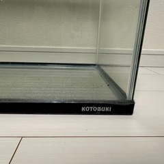 60センチ水槽の画像