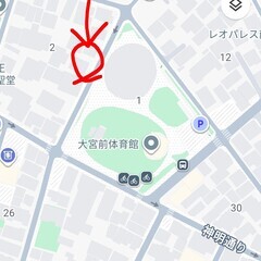 椅子（天然木　ウレタン塗装）の画像