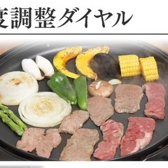 電機 ホットプレートの画像