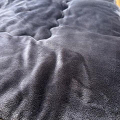 こたつ敷きふとんの画像
