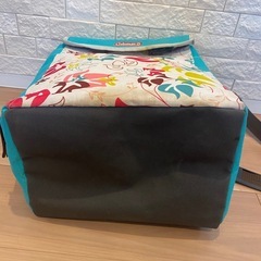コールマンソフトクーラーの画像