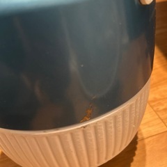 76年製　ヴィンテージ　コールマン　ジャグ　の画像