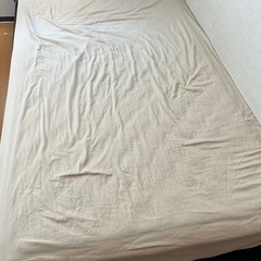 セミダブルベットの画像