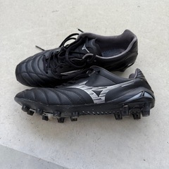 ボランティア活動サッカースパイク　24.5の画像